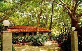 Parselia Rooms